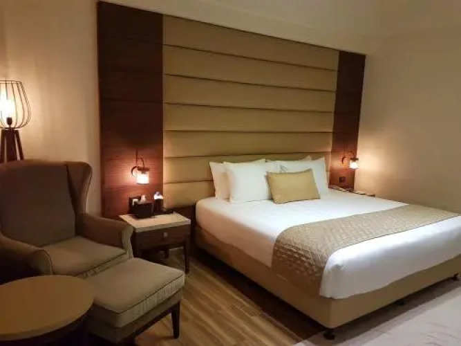 Udman Hotels and Resorts BY FERNS N PETALSOver view