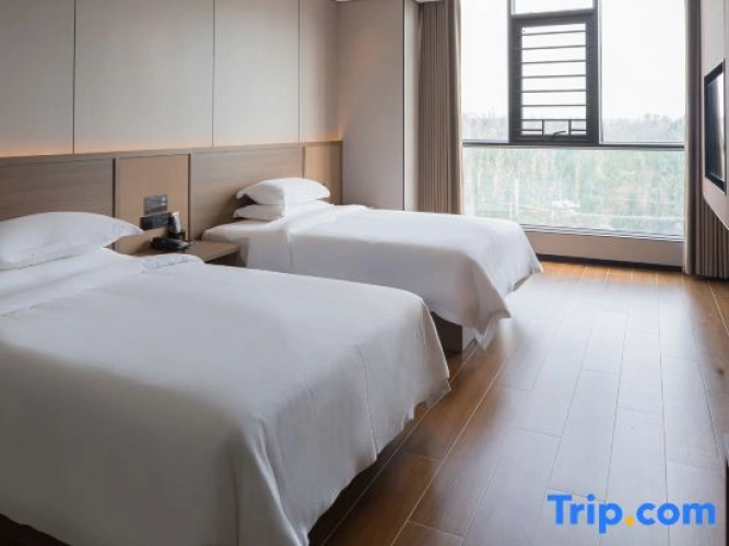 Standard Twin room with mountain view