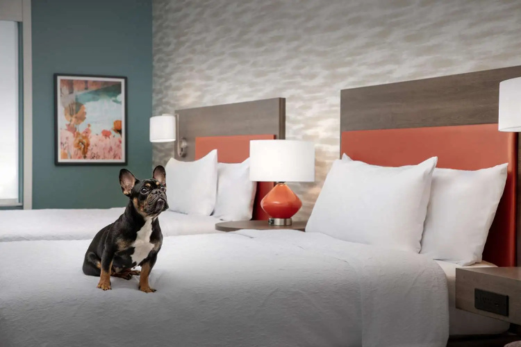 Home2 Suites By Hilton Georgetown Austin North