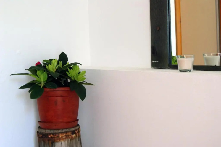 Apartmani Braco Caratan