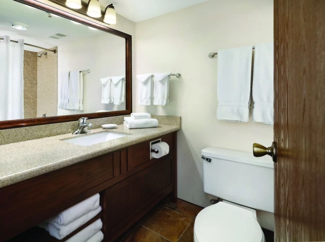 Single Suite