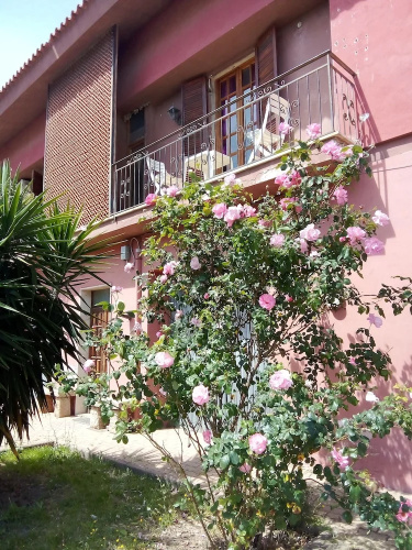 Smeralda room's