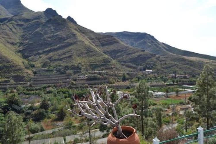 Casa Rural Agaete