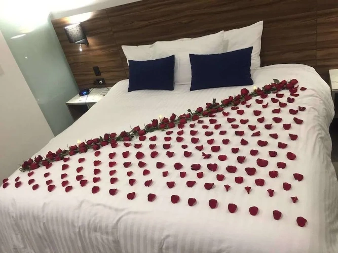 Standard Double Suite