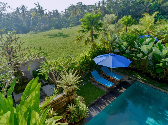1 Bedroom Villa