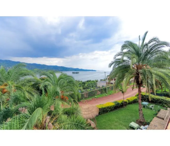 Palm Garden Resort