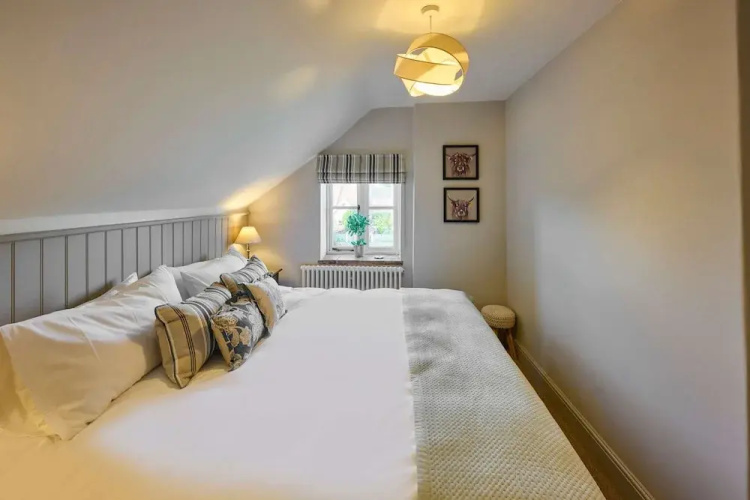 Host Stay Rock Rose