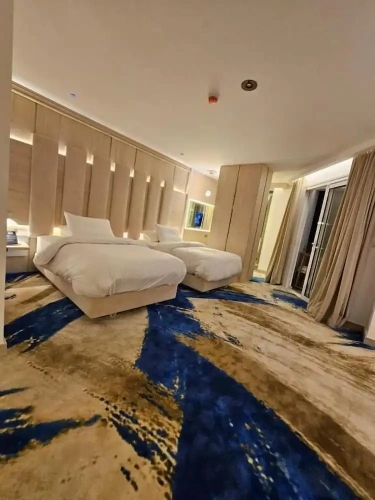 Superior Twin room with city view