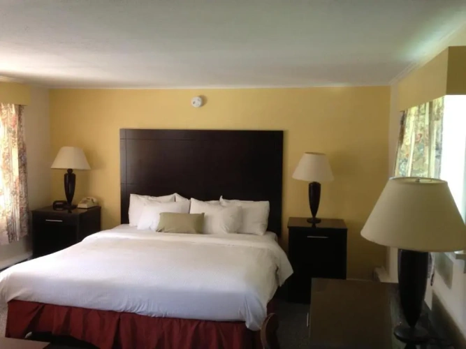Standard Double room with view