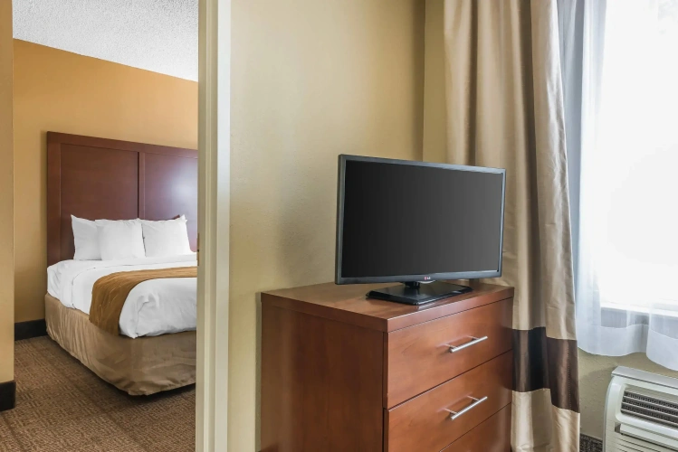 Quadruple Suite