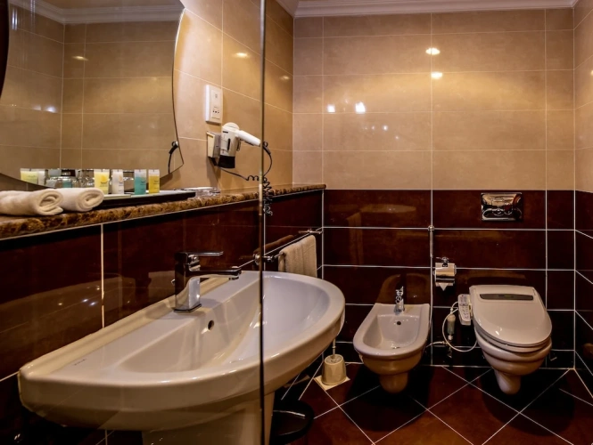 Standard Twin room with balcony and with Creek view