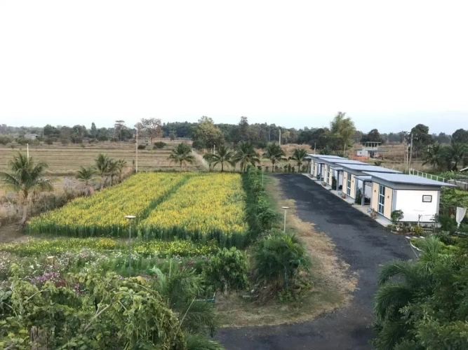 Standard Double room with garden view