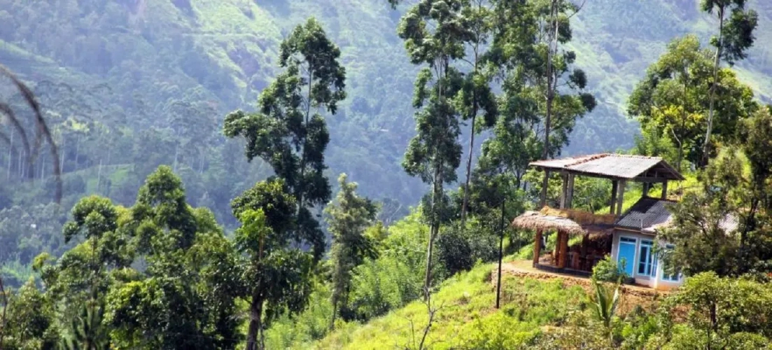Deluxe Double Suite with mountain view
