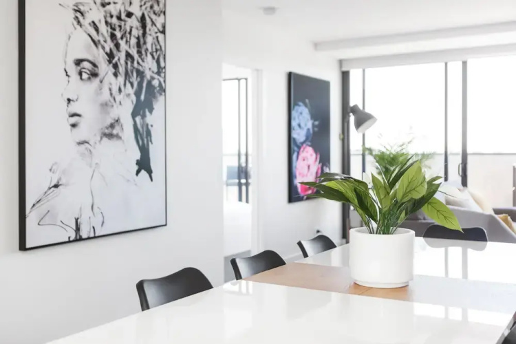 Spacious Urban Oasis in Central Location