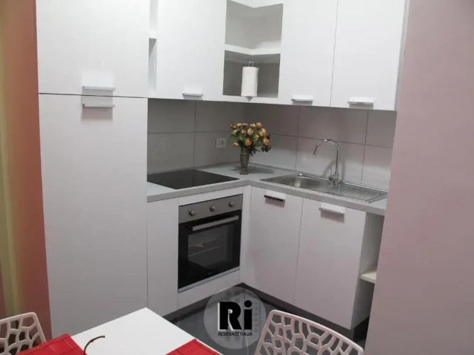 1 Bedroom Apartment with balcony and with view