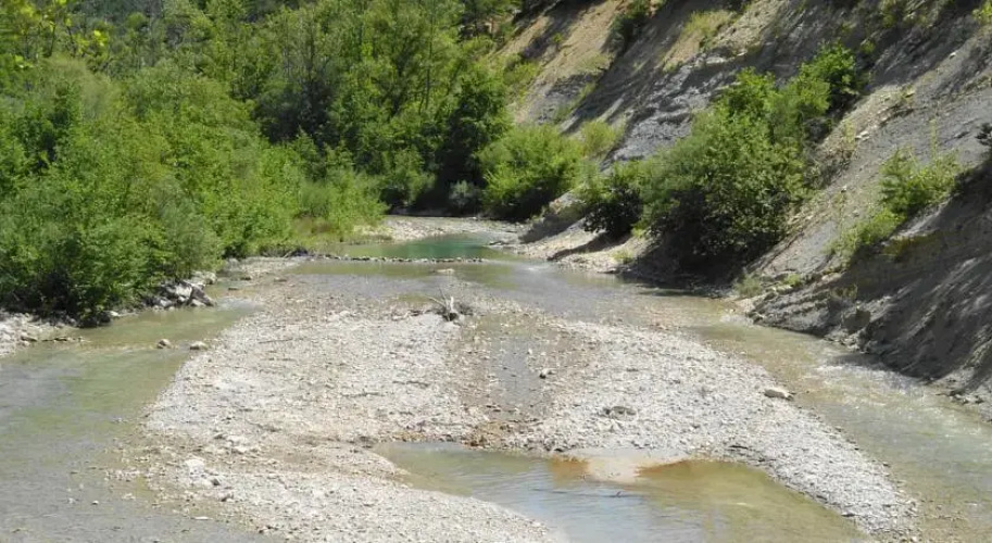 La Petite Bergerie