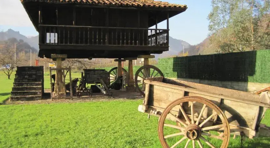 Hotel Cardeo