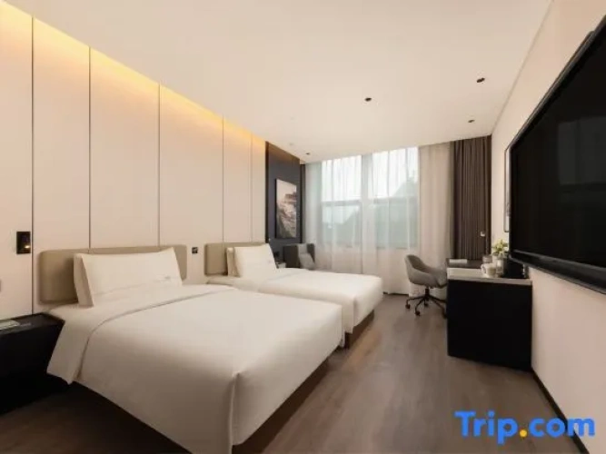 Executive Twin room