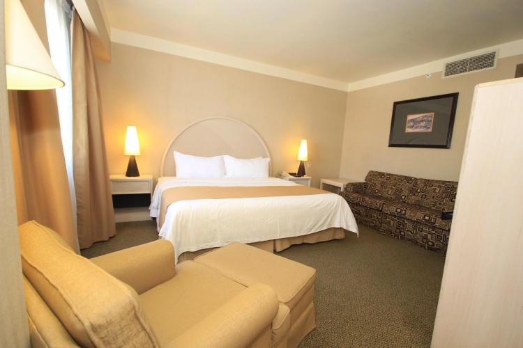 Holiday Inn Convention Center by IHG