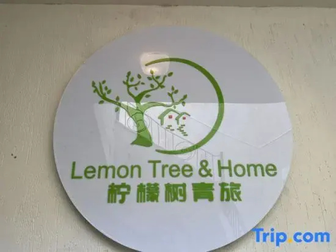 Lemon Tree & Home 2