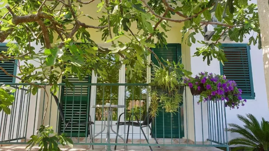 Studio with garden view