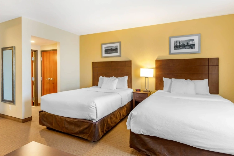 Quadruple Suite