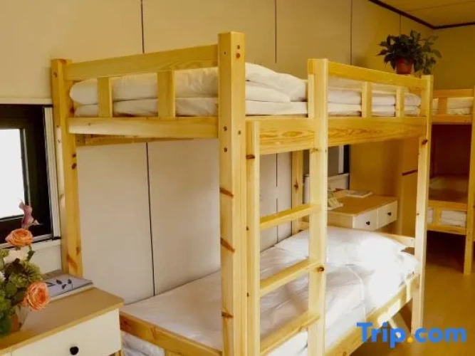 Bed in Dorm