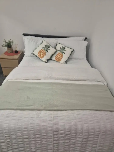 Spacious Large 4BR Home Train Station University
