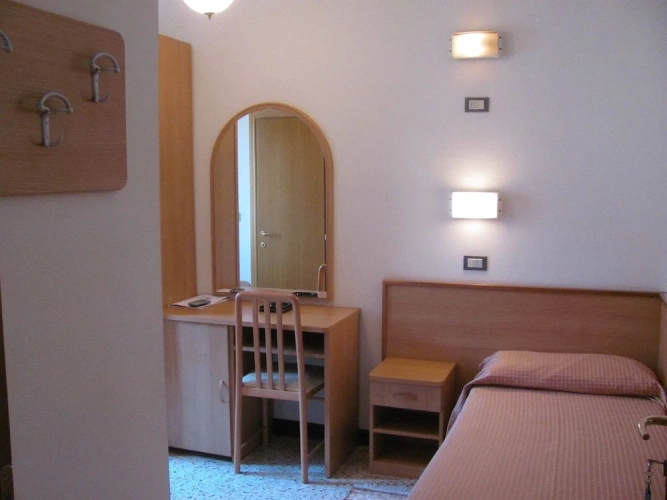 Standard Single room with garden view