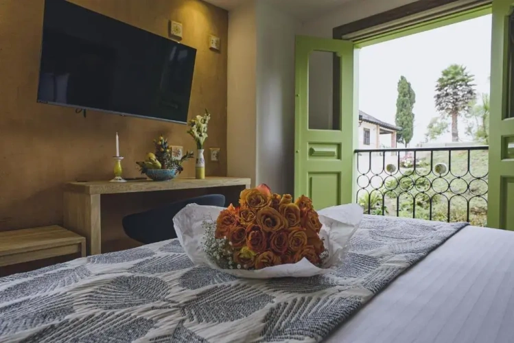 Deluxe Double room with balcony