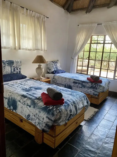 Rhinos Rest
