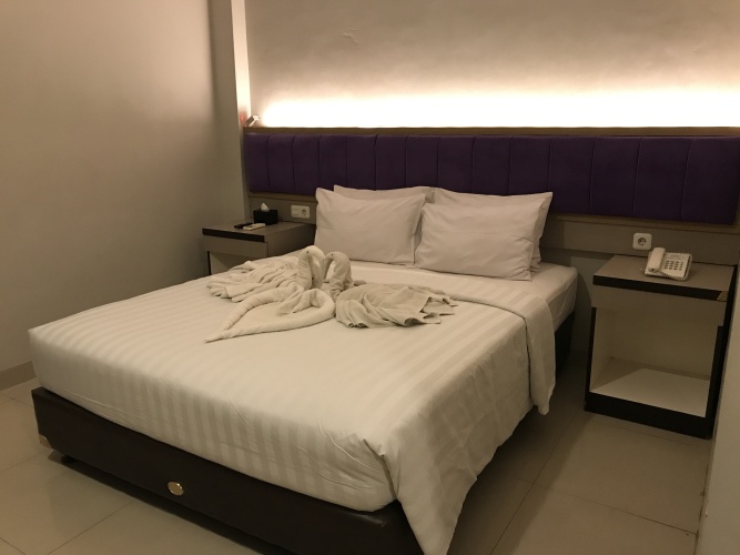Superior Single room