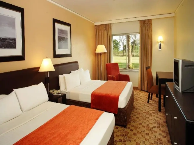 Standard Suite