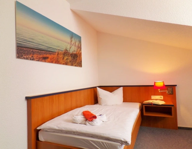 Standard Single room with ocean view