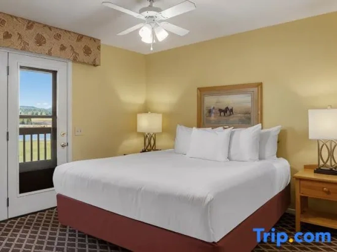 1 Bedroom Suite