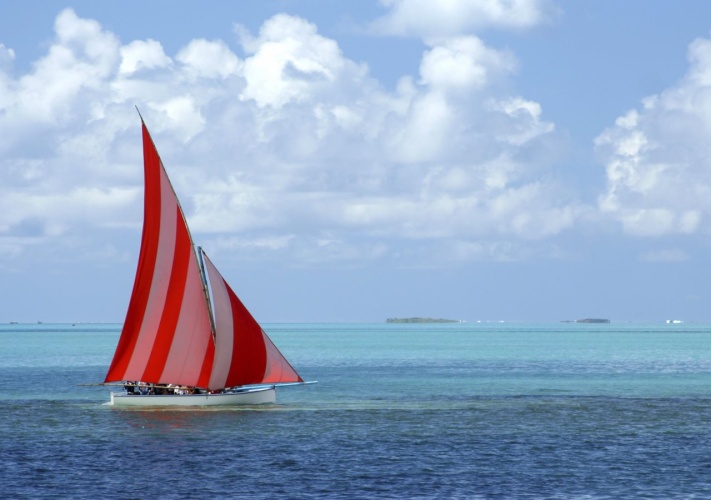 La Pirogue photo 28