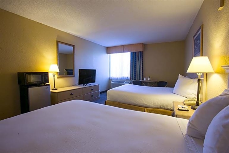 Standard Double room with pool view
