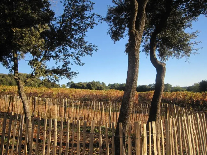 Les Cabanes de Carelle