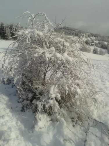 Chalet zur Schmiede