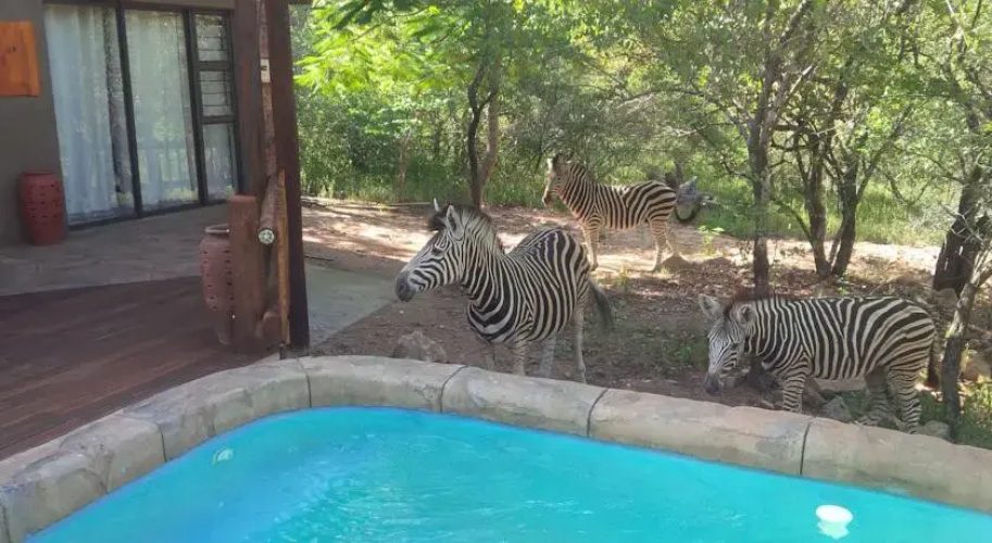 Marloth Park Holiday Home