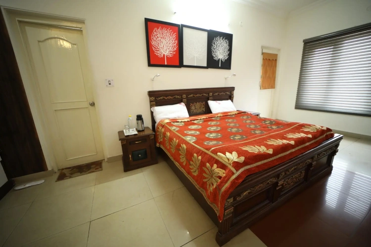 Deluxe Single room with view