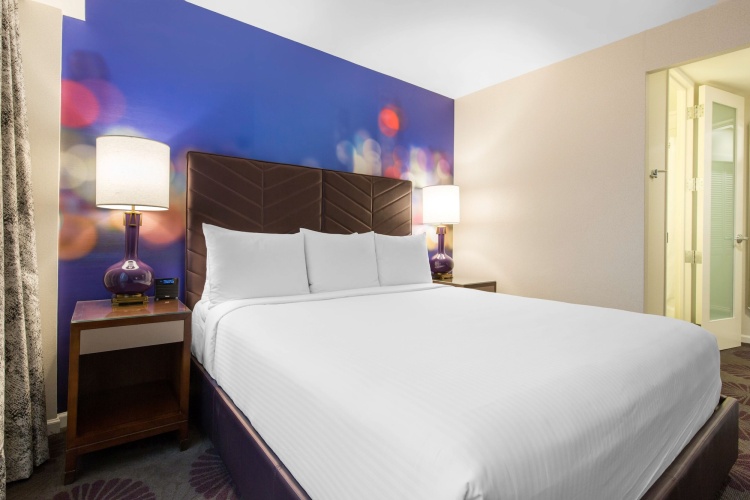 The Chicago Hotel Collection: Magnificent Mile photo 7
