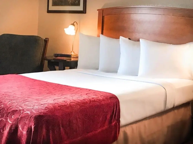 Quadruple Suite