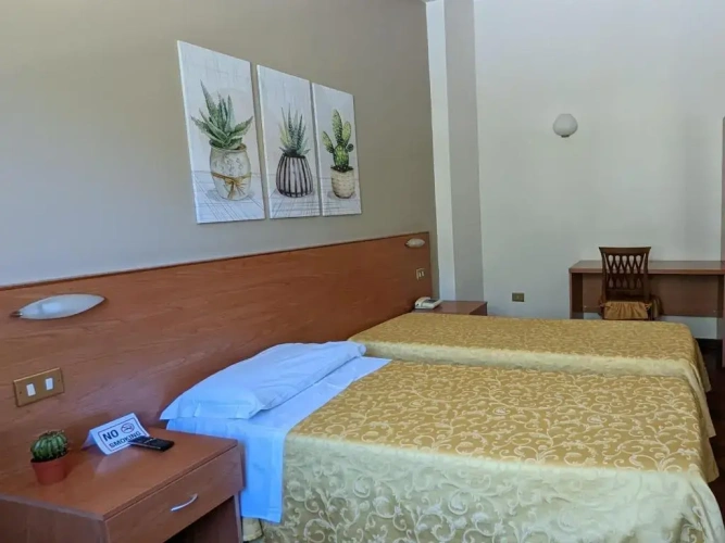 Standard Single room