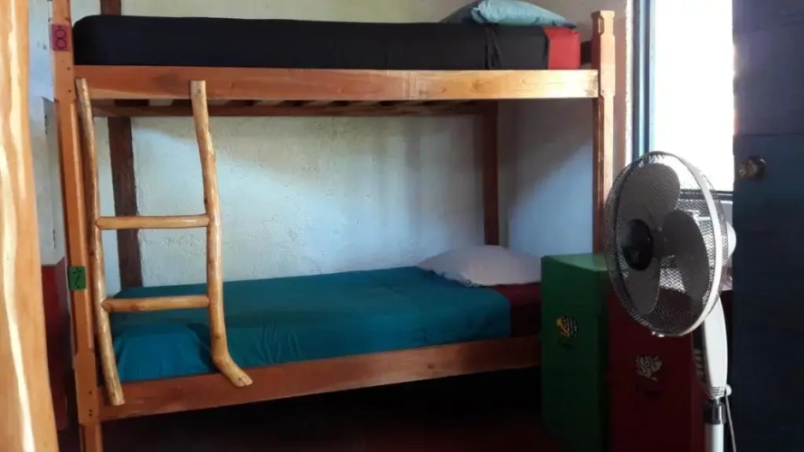 Bed in Dorm