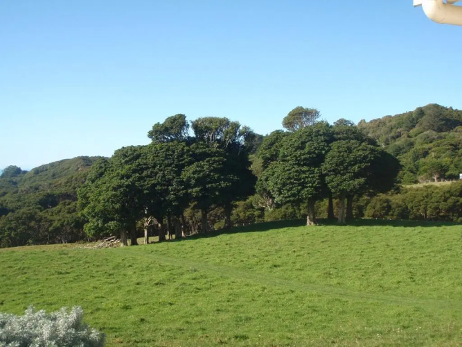 Nga Puriri Bed and Breakfast