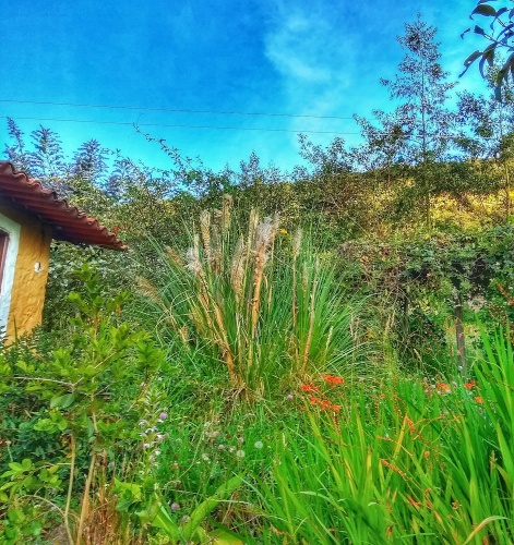 Comfort Double room with garden view