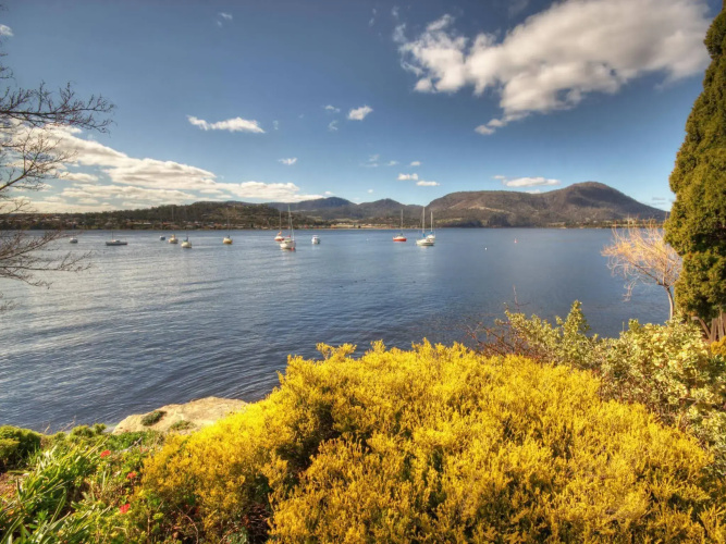 Derwent Vista