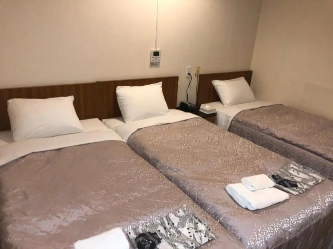 Economy Triple room