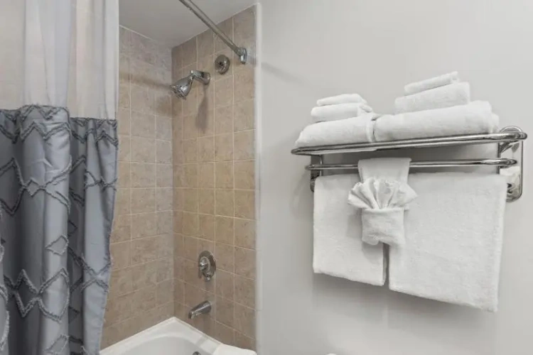 1 Bedroom Quadruple Apartment
